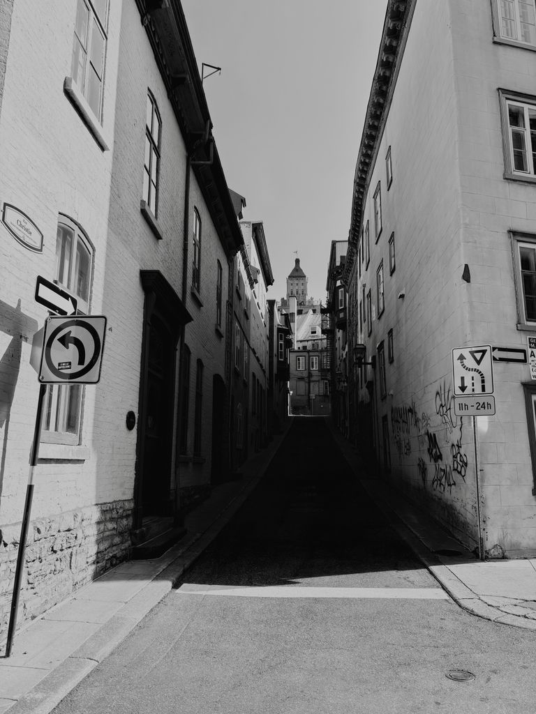 Explore this narrow alleyway with historic architecture in stunning black and white.